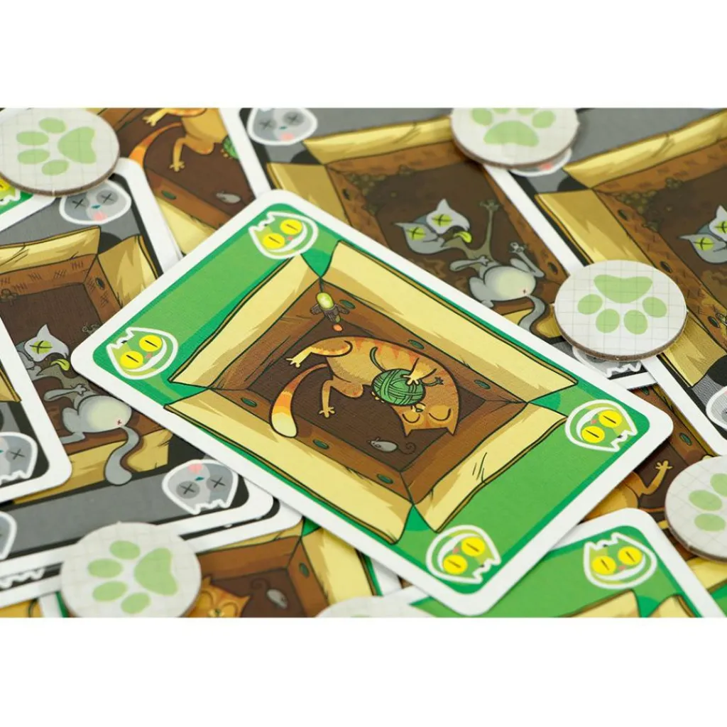 999 Games Schrödinger's Katten kaartspel< Buitenspelen & Spelletjes