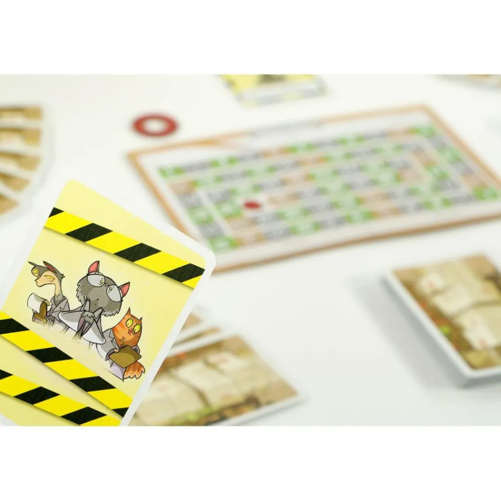 999 Games Schrödinger's Katten kaartspel< Buitenspelen & Spelletjes