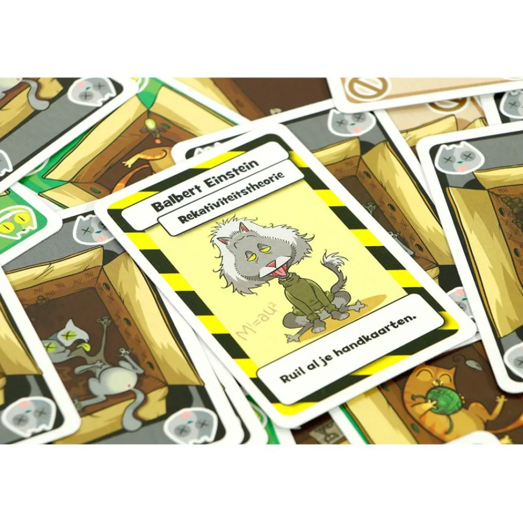 999 Games Schrödinger's Katten kaartspel< Buitenspelen & Spelletjes