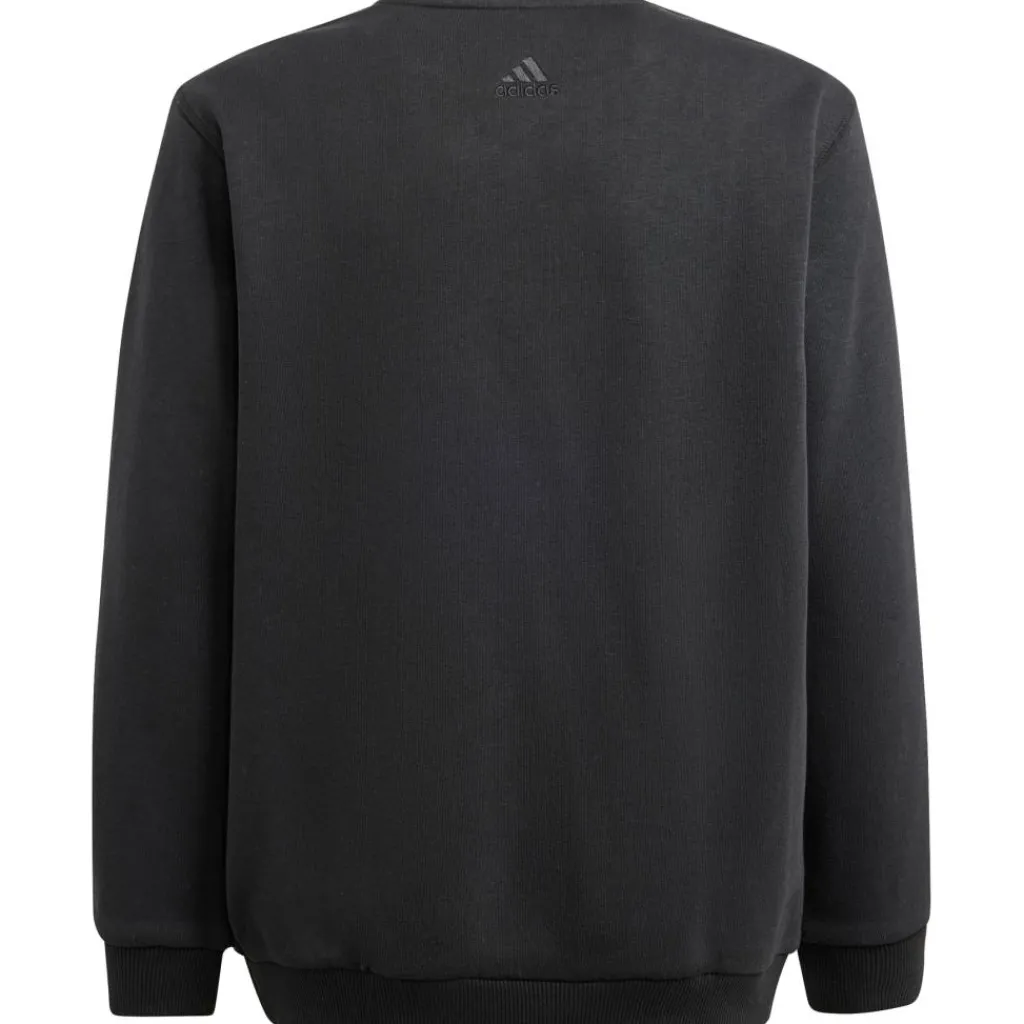 Truien & Vesten-adidas ALL SZN Graphic sweater junior black