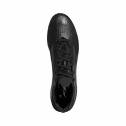 Voetbalschoenen-adidas F50 Pro FG voetbalschoenen heren core black iron metallic gold metallic