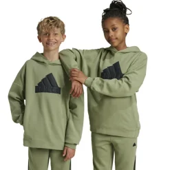 Truien & Vesten-adidas Future Icons Logo hoodie junior tent green black