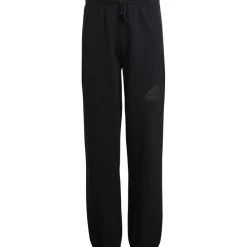 Sportbroek-adidas Future Icons Logo joggingbroek junior black