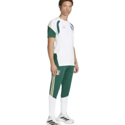 Voetbalkleding-adidas Italië 26 Tiro trainingsbroek heren collegiate green