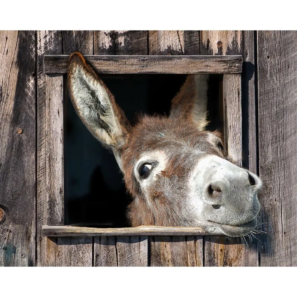 Overige Accessoires-All Seasons Posters ezel 80 x 60 tuinposter