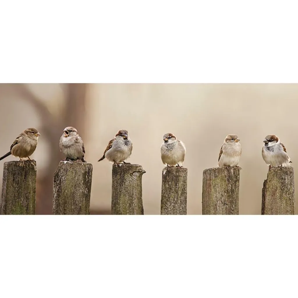 Overige Accessoires-All Seasons Posters musjes 110 x 45 tuinposter