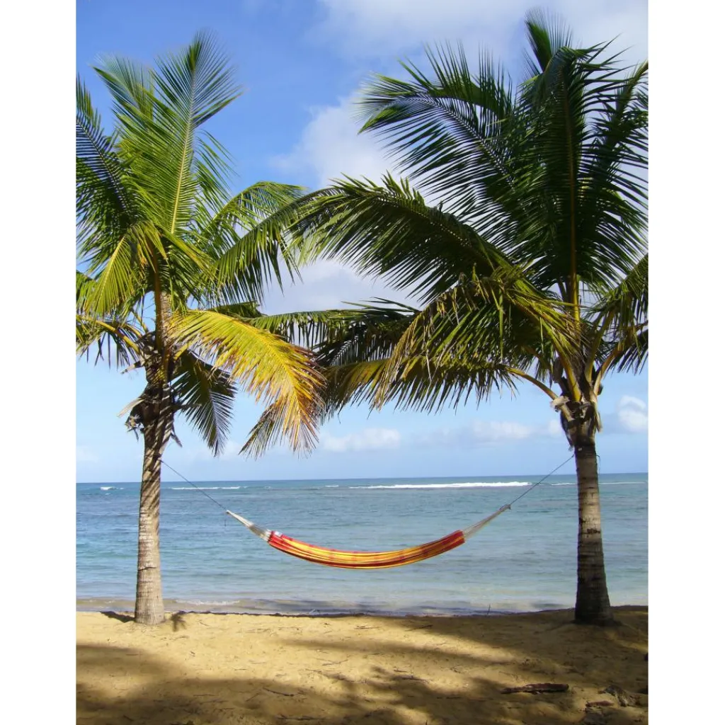 Hangmatten-Amazonas Barbados hangmat papaya
