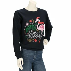 Truien & Vesten-Apollo X-Mas sweater dames assorti