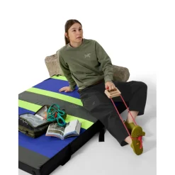 Arc'teryx Aestas Crew Neck sweater dames forage< Outdoor Trui