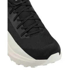 Arc'teryx Norvan LD 4 wandelschoenen heren black arctic silk< Wandelen|Wandelschoenen