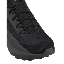 Wandelen|Wandelschoenen-Arc'teryx Norvan LD 4 wandelschoenen heren black cloud