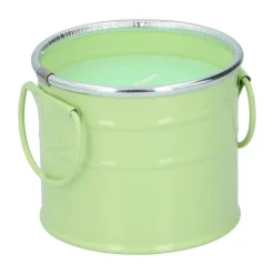 Anti Insecten-Arti Casa  Citronella Emmer kaars assorti