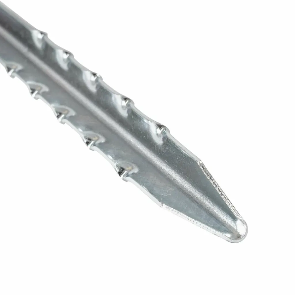 Bardani King V-haring 24 cm per 2 stuks< Tent Haringen