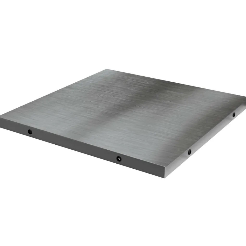 Big Green Egg Insert RVS< Accessoires