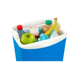 Koelboxen-Campingaz Icetime koelbox 12,5 liter