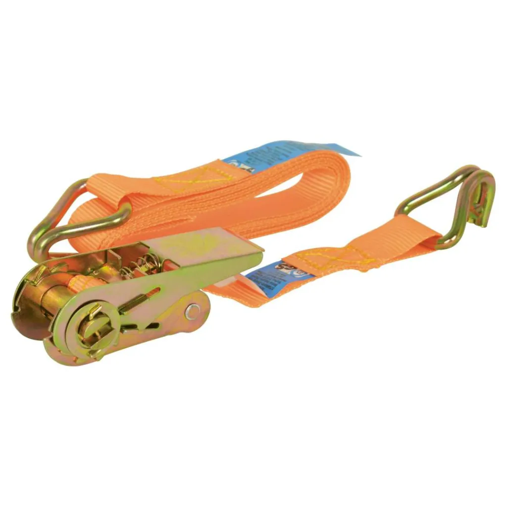 Carpoint Spanband met ratel en haken 5 meter< Bindriemen