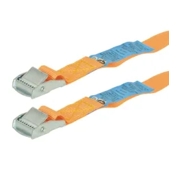 Bindriemen-Carpoint Spanbanden 2,5 meter