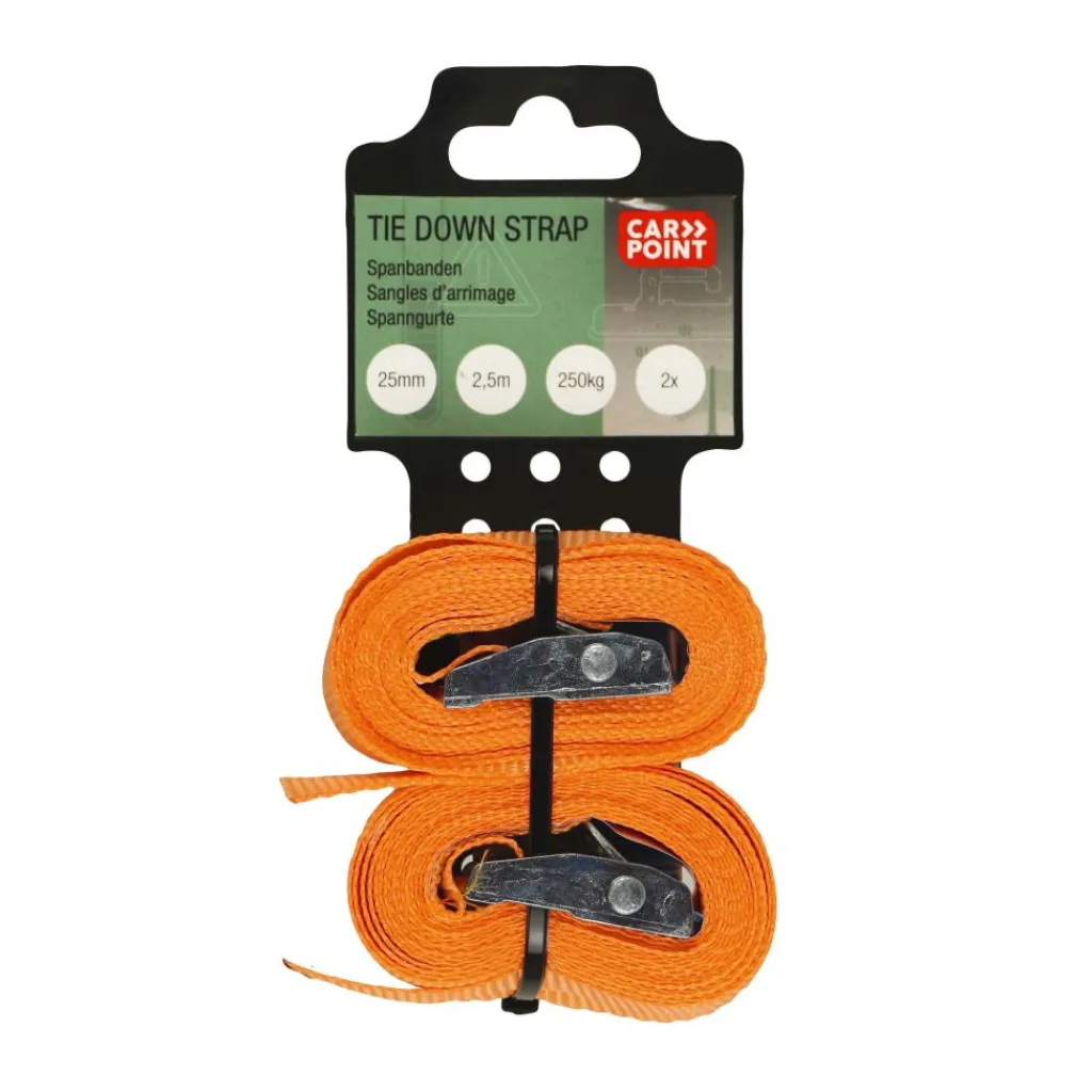 Bindriemen-Carpoint Spanbanden 2,5 meter