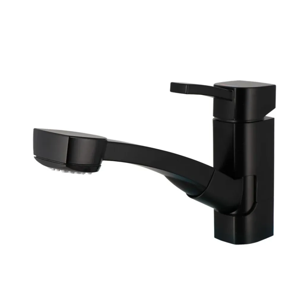 Comet Capri mengkraan zwart met uitneembare sproeikop boorgat 33 mm< Kranen