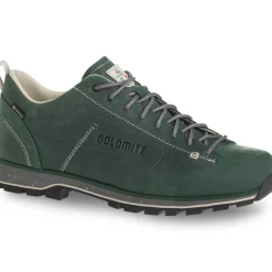 Wandelen|Wandelschoenen-Dolomite 54 Low FG EVO GORE-TEX wandelschoenen heren dark green