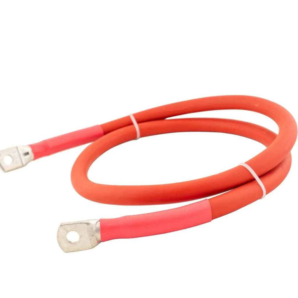 Kabels-DWS Accukabel M8-M8 50 mm² rood 1 meter