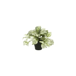 DWS Fittonia Bush kunstplant< Overige Accessoires