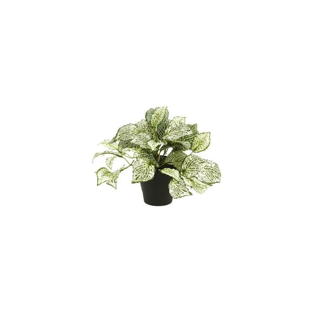 DWS Fittonia Bush kunstplant< Overige Accessoires
