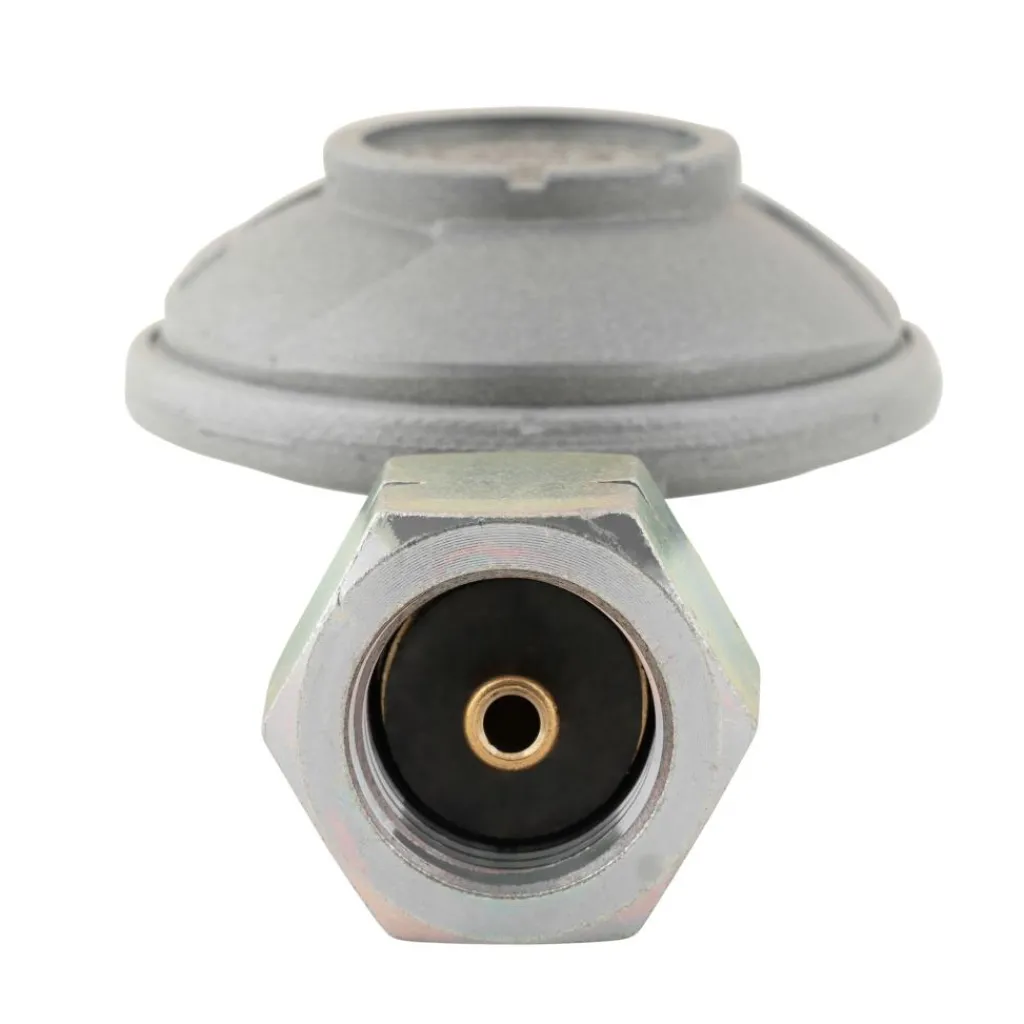 DWS Gasdrukregelaar universeel 50 mbar< Gasdrukregelaars