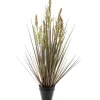 DWS Grass Rumex kunstplant< Overige Accessoires
