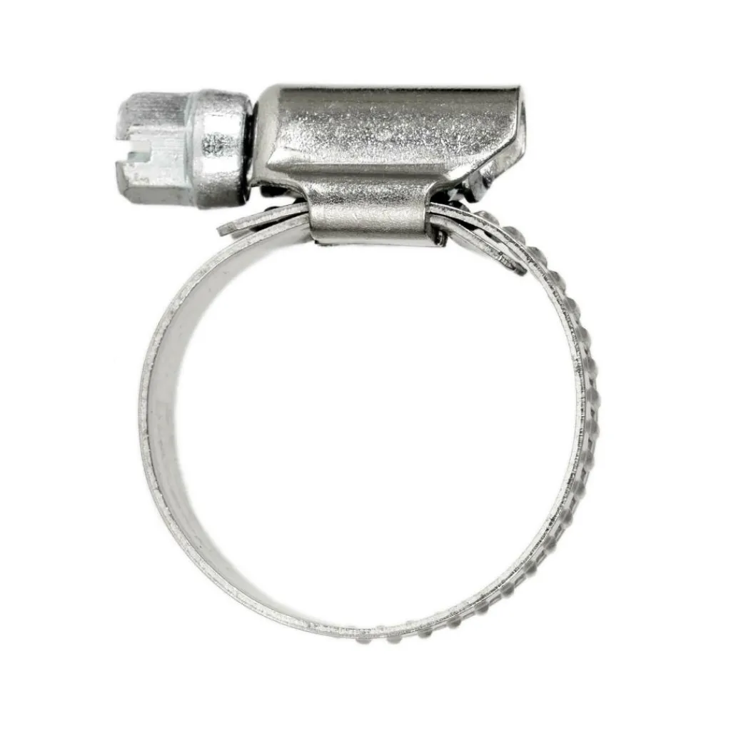 Slangen-DWS Slangklem RVS 22-32 mm 2 stuks