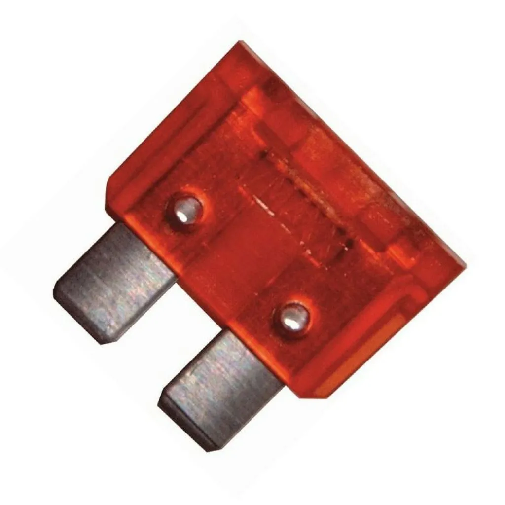 Zekeringen-DWS steekzekeringen 10A set van 6 stuks