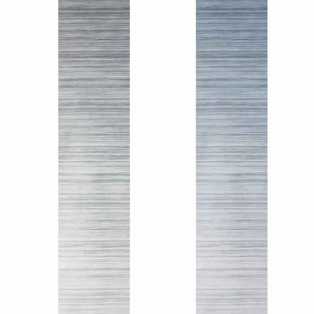 Fiamma F45 S 300 cassetteluifel titanium - Royal Grey< Cassetteluifels