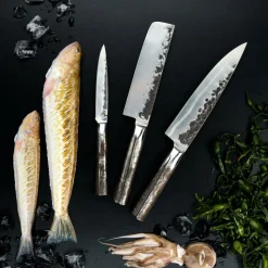 Hulpmiddelen-Forged Intense 3-delige messenset