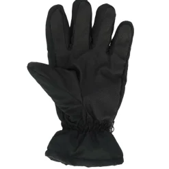 Handschoenen & Wanten|Wintersport-Heatkeeper 140323002 handschoenen heren black