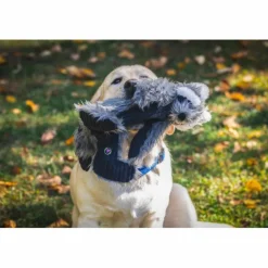 Hondenartikelen-HuggleHounds X-Brace Redwood Raccoon hondenspeelgoed