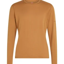 Thermokleding|Wintersport-Icebreaker M 260 Tech LS thermoshirt heren trail