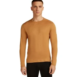 Thermokleding|Wintersport-Icebreaker M 260 Tech LS thermoshirt heren trail