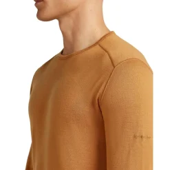 Thermokleding|Wintersport-Icebreaker M 260 Tech LS thermoshirt heren trail