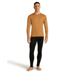 Thermokleding|Wintersport-Icebreaker M 260 Tech LS thermoshirt heren trail