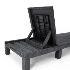 Keter Daytona Sunlounger ligbed graphite inclusief  kussen< Ligbedden