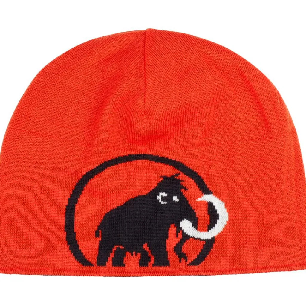 Mammut Logo muts black< Mutsen|Wintersport