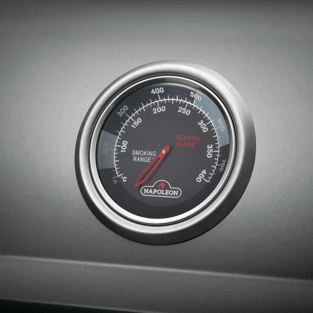 Napoleon Freestyle 425 SB buitenkeuken graphite grey< Gas Bbq & Buitenkeukens