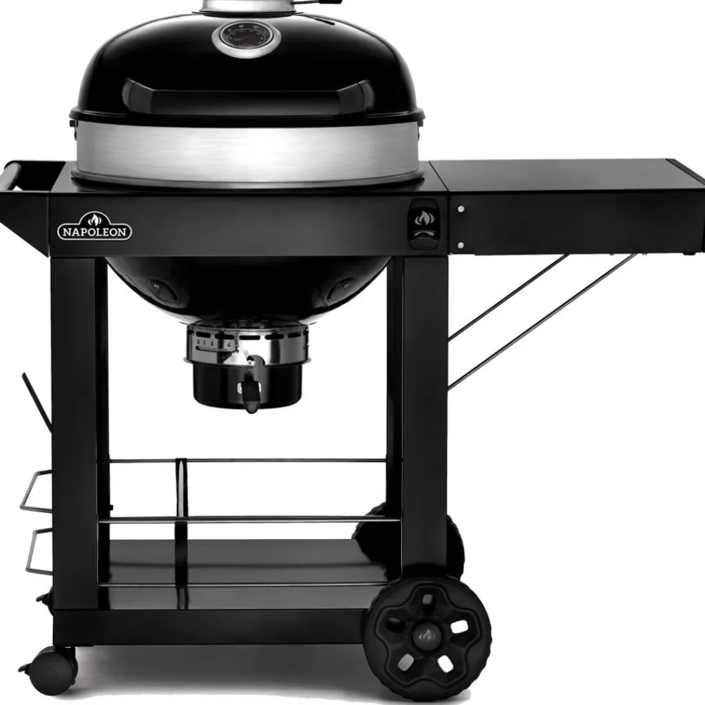 Napoleon PRO22 mobiele houtskoolbarbecue 57 cm black< Houtskool Bbq
