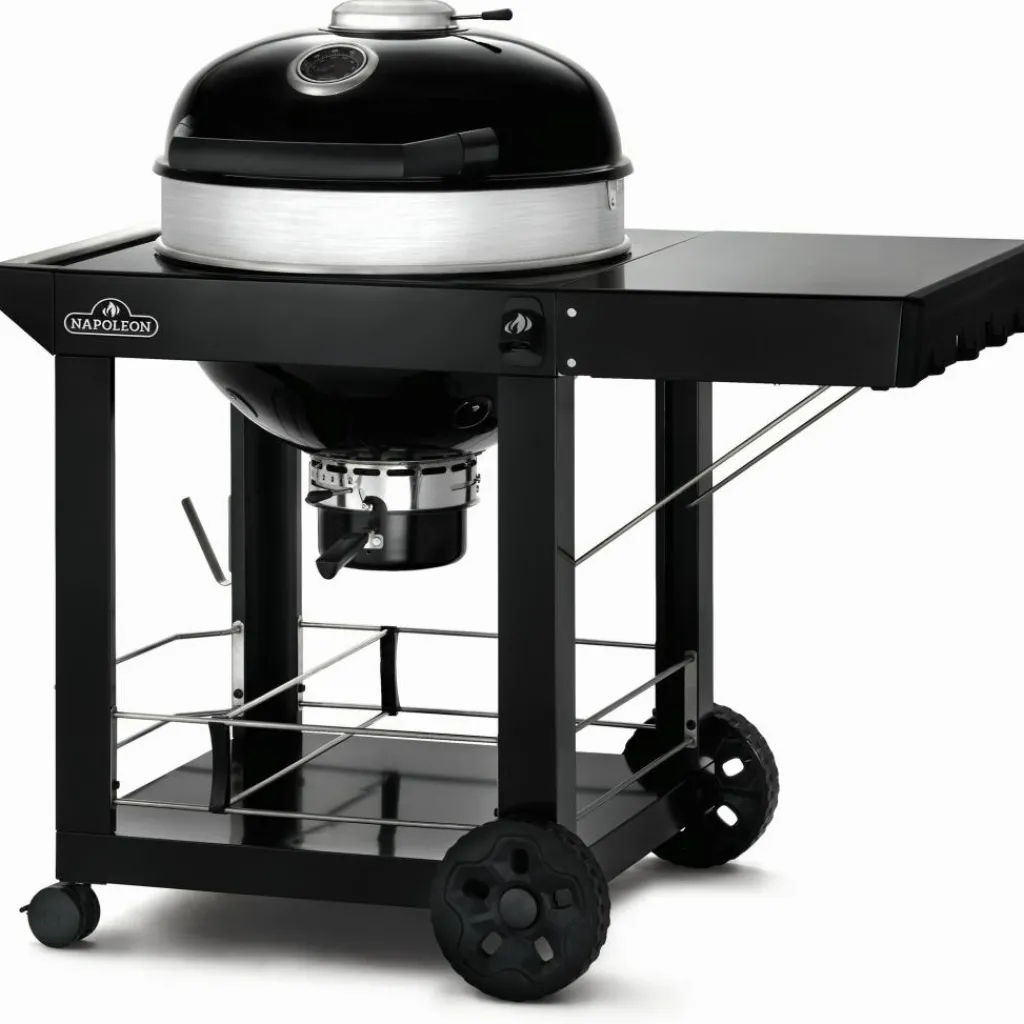 Napoleon PRO22 mobiele houtskoolbarbecue 57 cm black< Houtskool Bbq