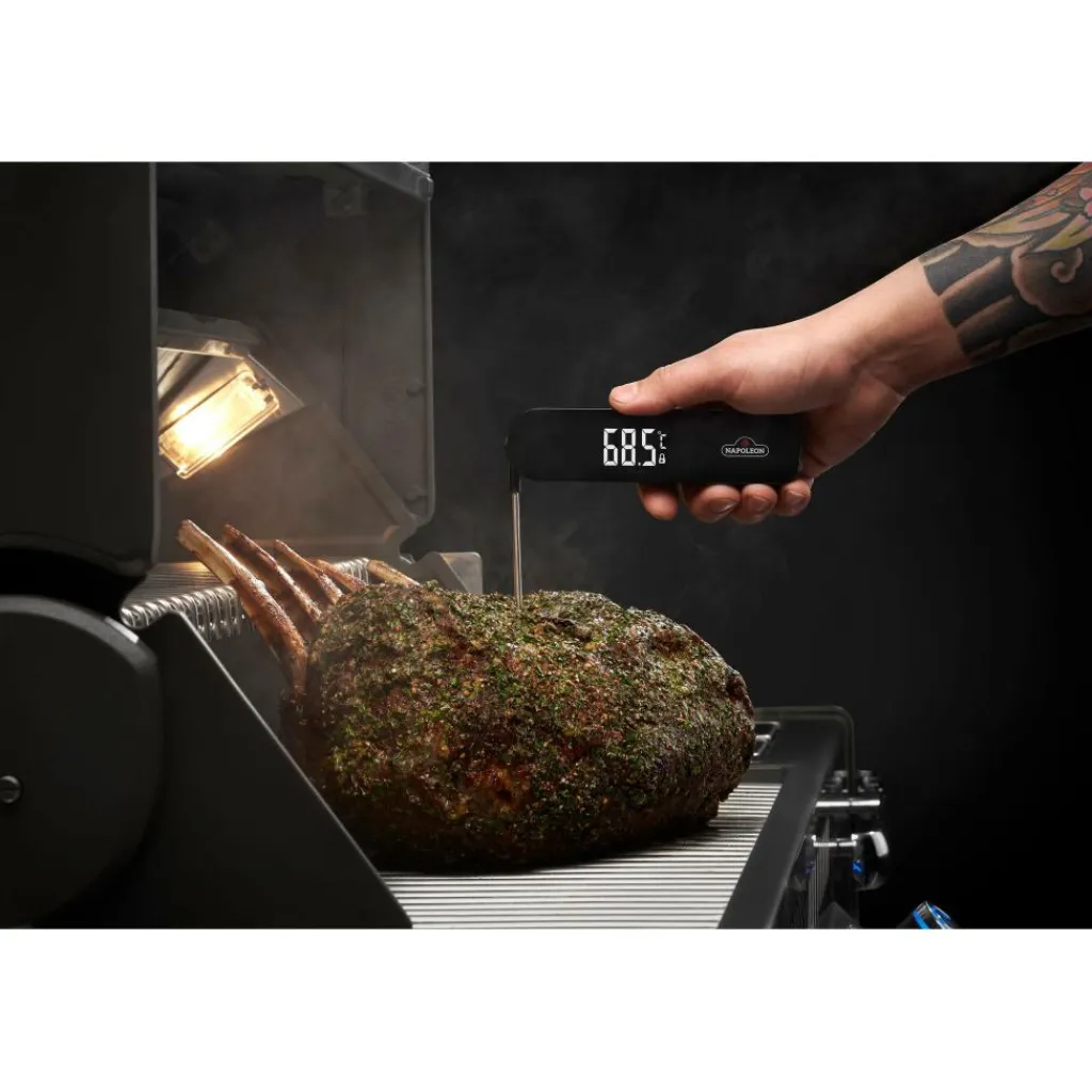 Hulpmiddelen-Napoleon Snelle thermometer