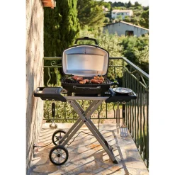 Elektrische Bbq-Napoleon TravelQ PRO285EX elektrische barbecue black inclusief onderstel