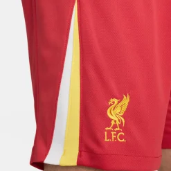 Voetbalkleding-Nike Liverpool FC Stadium thuisshort 24 - 25