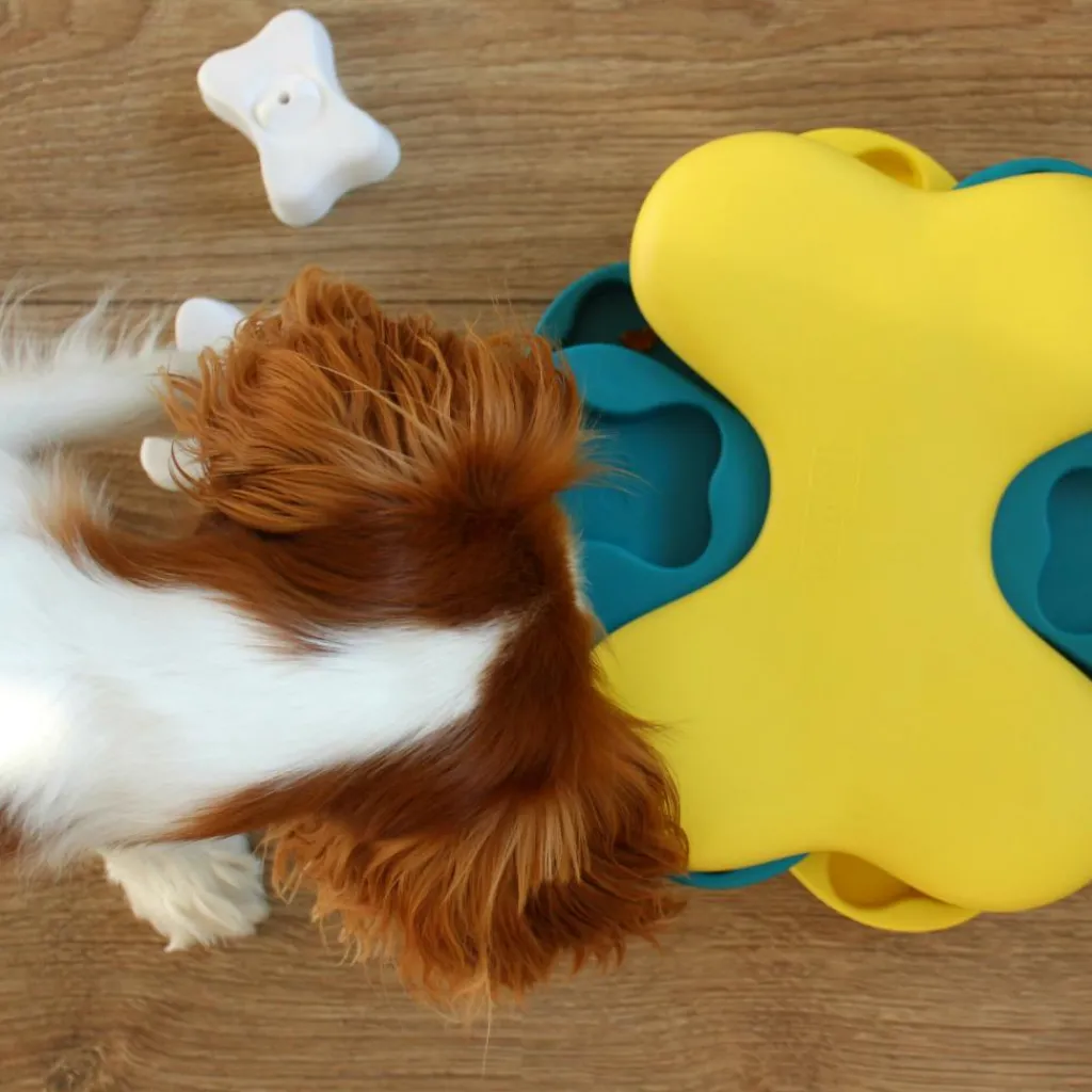 Hondenartikelen-Nina Ottosson Dog Tornado hondenspeelgoed