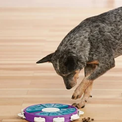 Hondenartikelen-Nina Ottosson Dog Twister hondenspeelgoed