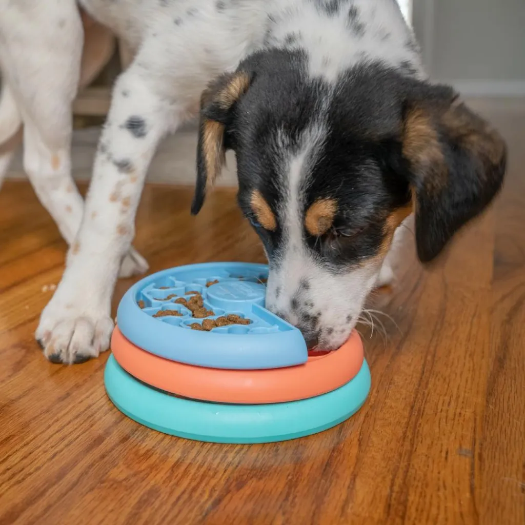 Hondenartikelen-Nina Ottosson Puppy Lickin' Layers Mlt voerbak